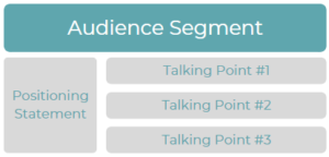 Audience Segment